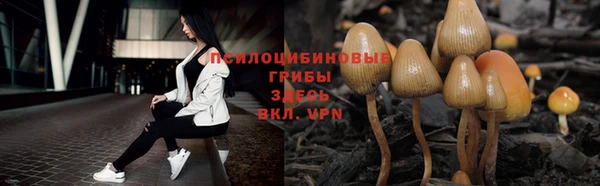 2c-b Михайловск