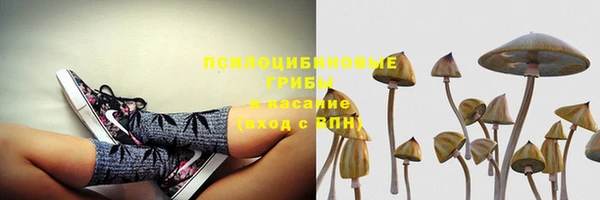 2c-b Михайловск