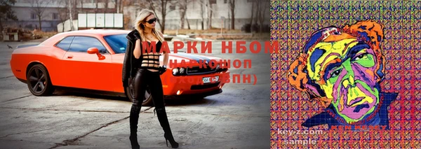 стафф Михайлов