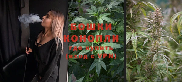 стафф Михайлов