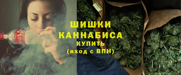 стафф Михайлов