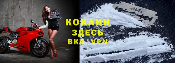 стафф Михайлов