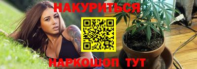 шишки Дубна