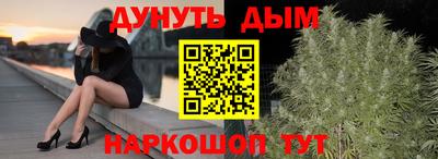шишки Дубна