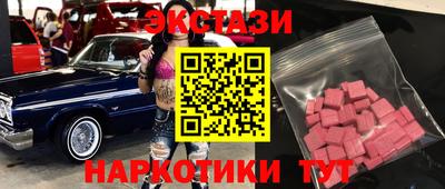 шишки Дубна