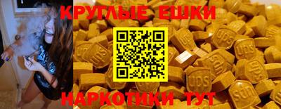 шишки Дубна
